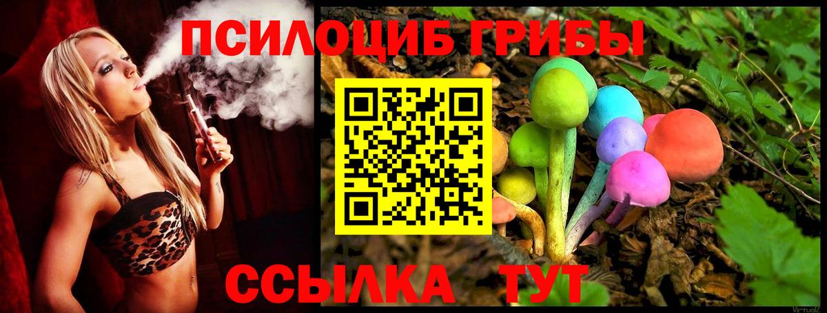 Галлюциногенные грибы MAGIC MUSHROOMS Великий Устюг