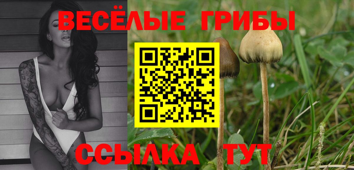 Великий Устюг  Галлюциногенные грибы Psilocybe  Вход с VPN 